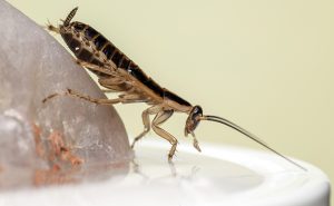 PHOTO: iStock.com/ErikKarits