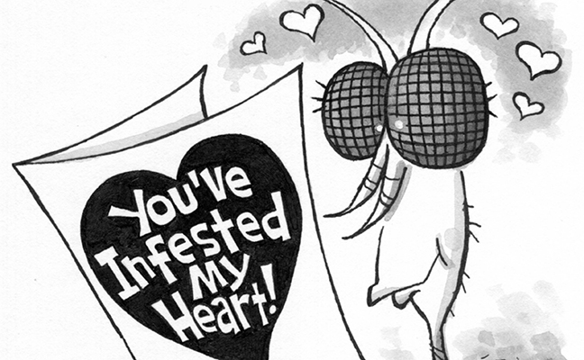 Illustration: Leo Michael