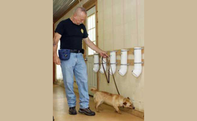 PHOTO: David Latimer