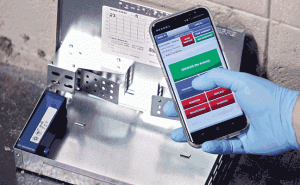 Photo: Courtesy of Pied Piper Pest, Termite & Lawn