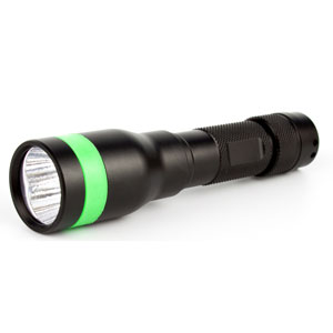 Photo provided by Ensystex