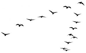 IMAGE: iStock.com/GeorgePeters