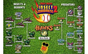 Insect Madness 2 bracket