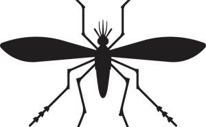 PHOTO: iStock.com /filo