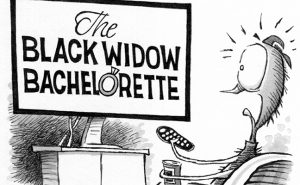 Illustration: Leo Michael