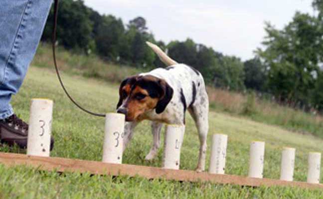 PHOTO: David Latimer