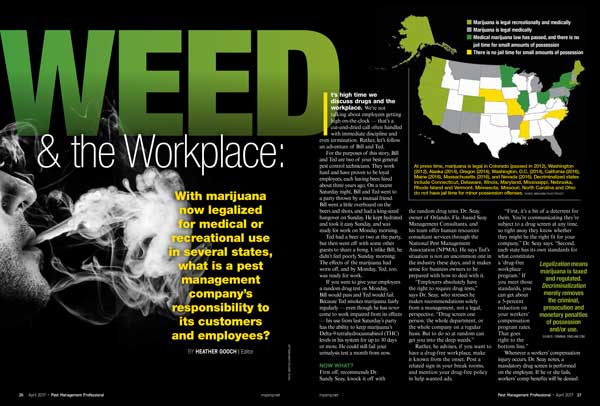 PMP Weed & the Workplace spread from PMP