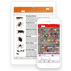 Photo provided by SalesRabbit