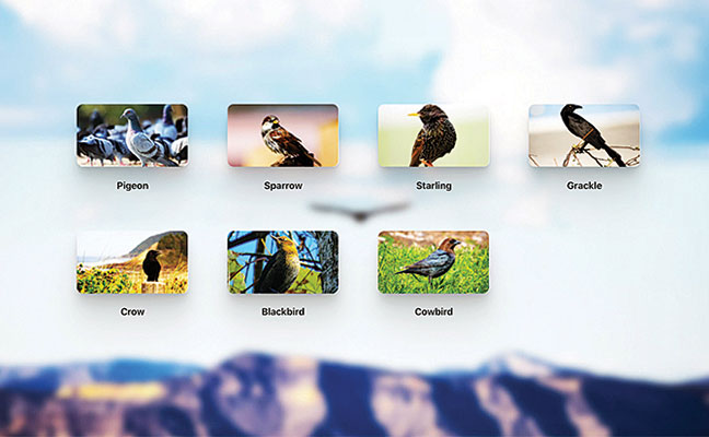 Image provided by Avitrol