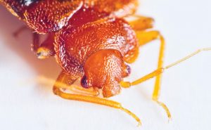 PHOTO: iStock.com/solomonphotos