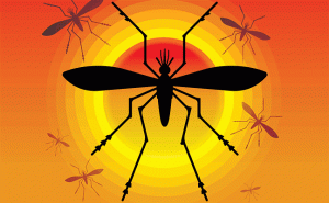 PHOTO: ISTOCK.COM/SWKUNST