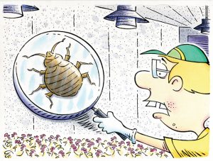 Illustration: Leo Michael