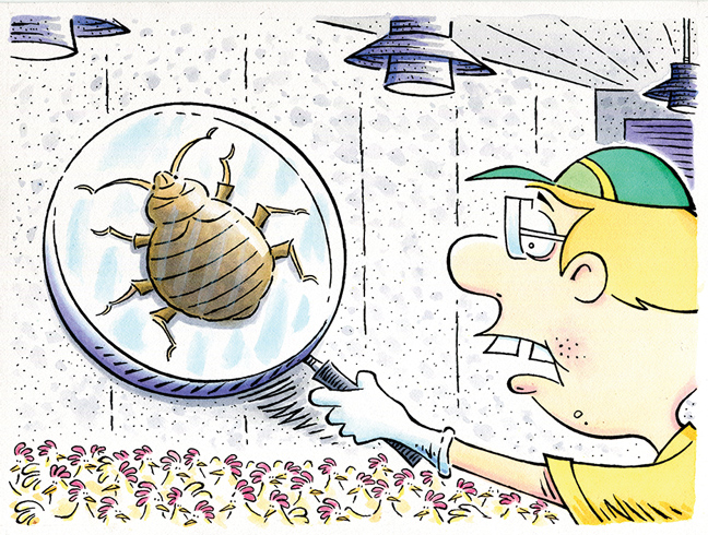 Illustration: Leo Michael