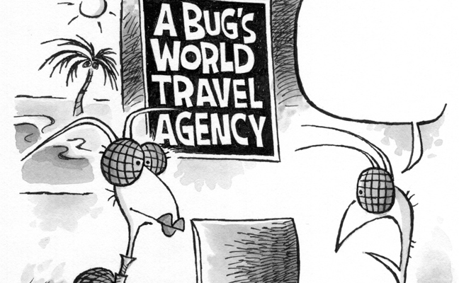 Illustration: Leo Michael