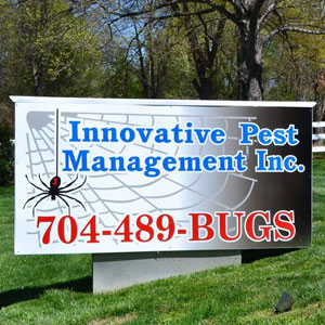 Photo: The Potomac Co.