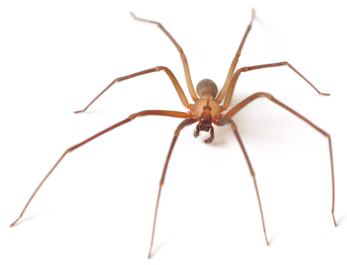 Photo provided by BASF/iStock/stephanie phillips