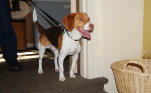 PHOTO: David Latimer