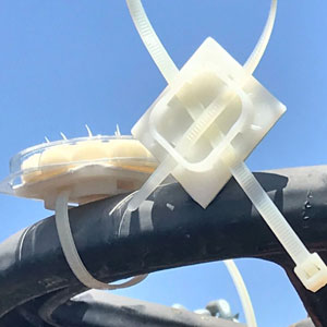 Photo provided by Bird Barrier