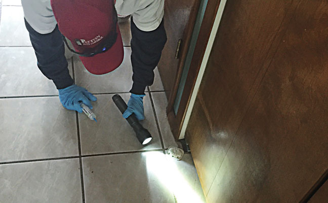 PHOTO: Heather Gooch