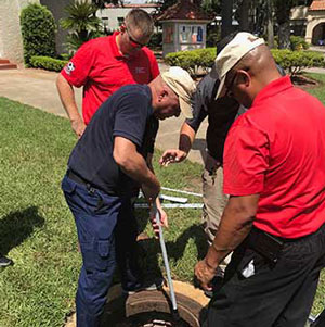 Photo: Turner Pest Control