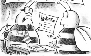 Illustration: Leo Michael