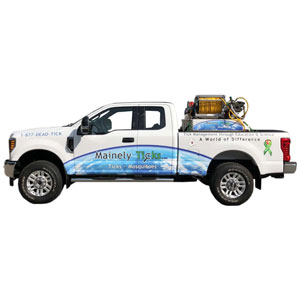 PHOTO: MAINELY TICKS