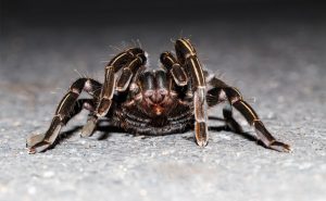 PHOTO: iStock.com/Mathisa_s