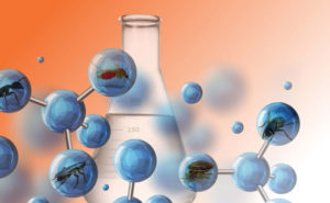 PHOTOS: iStock.com/studiocasper/kotoffei/spxChrome/xjbxhxm/abadonian/animatedfunk/rclassenlayouts