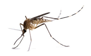 PHOTO: ISTOCK.COM/DOUG4537