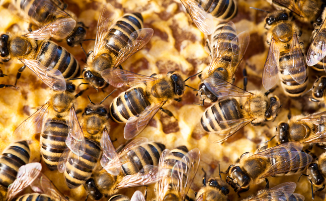 PHOTO: iStock.com/ViktorCap