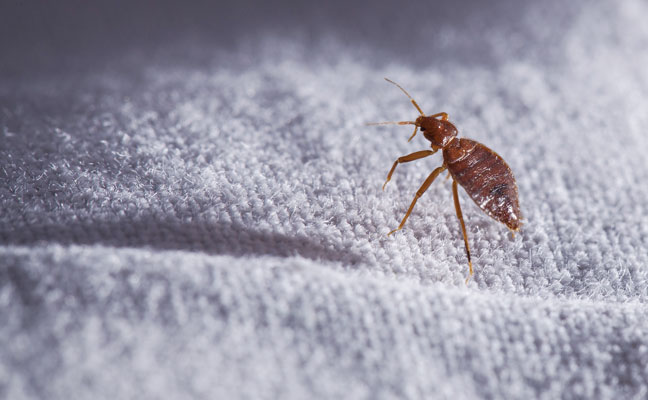 PHOTO: akos nagy/Shutterstock.com