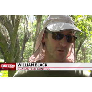 Guaranteed's William Black talks with ABC Local 10. PHOTO: WPLG VIA YOUTUBE
