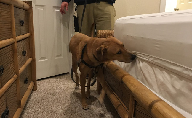 PHOTO: DAVID LATIMER