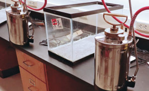 PHOTO: JEFF MCGOVERN