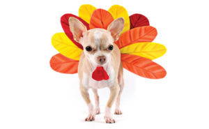 PHOTO: ISTOCK.COM/MAITEALI