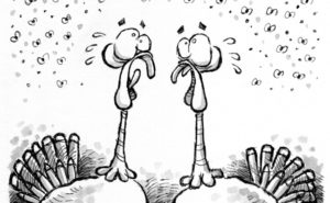 ILLUSTRATION: LEO MICHAEL