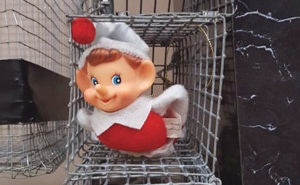 PHOTO: PATTY PIERLEONARDI