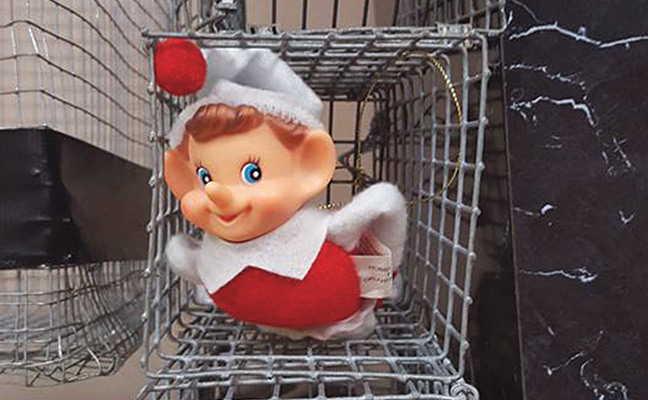 PHOTO: PATTY PIERLEONARDI