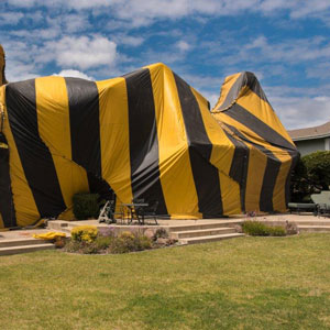 PHOTO: PLASTIC FABRIC SOLUTIONS