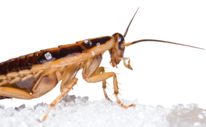 PHOTO: ISTOCK.COM/ERIKKARITS