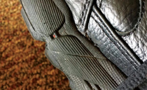 Shoe treads are perfect cozy spots for bed bugs to hide in and hitchhike. PHOTO: PAULA KALBLI, ROASE PEST SOLUTIONS