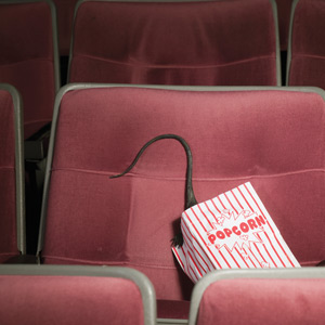 PHOTO: ISTOCK.COM/EYEJOY