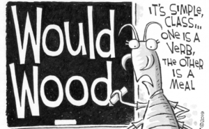 ILLUSTRATION: LEO MICHAEL