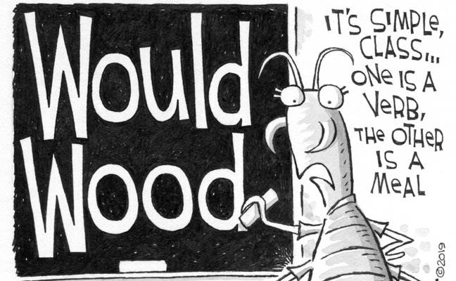 ILLUSTRATION: LEO MICHAEL