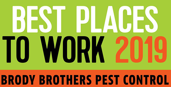 PHOTO: BRODY BROTHERS PEST CONTROL