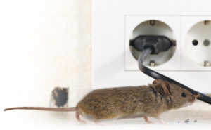 PHOTO: ISTOCK.COM/TENRA