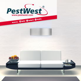 IMAGE: PESTWEST