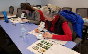 PHOTO: INSECTS LIMITED