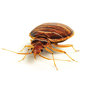 PHOTO: ISTOCK.COM/ANIMATEDFUNK