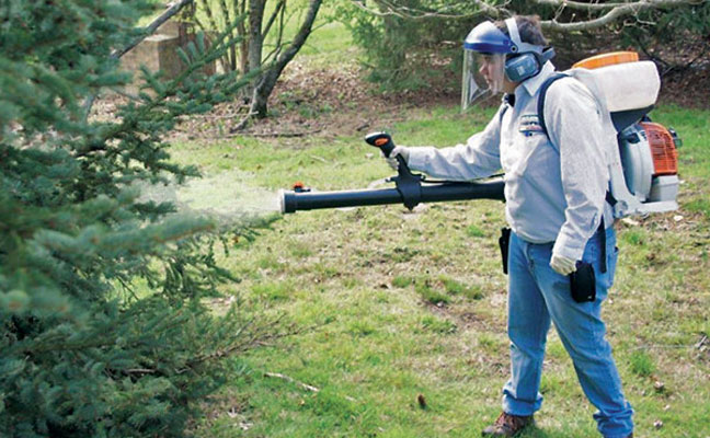 PHOTO: COOPER PEST SOLUTIONS